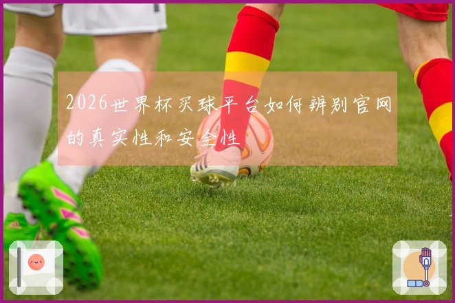 2026世界杯买球平台如何辨别官网的真实性和安全性