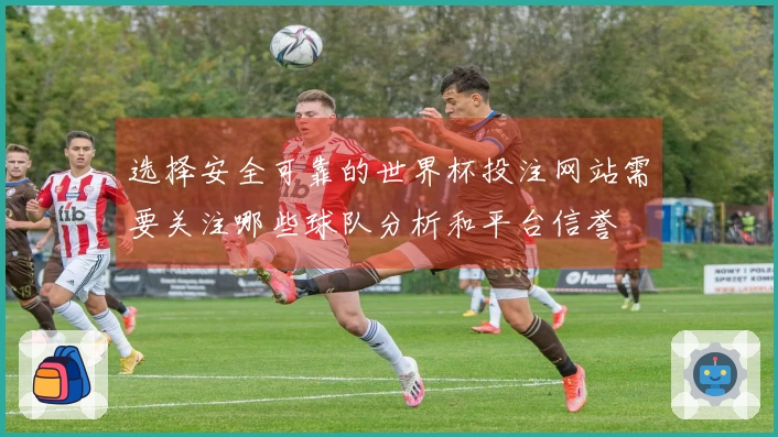 选择安全可靠的世界杯投注网站需要关注哪些球队分析和平台信誉