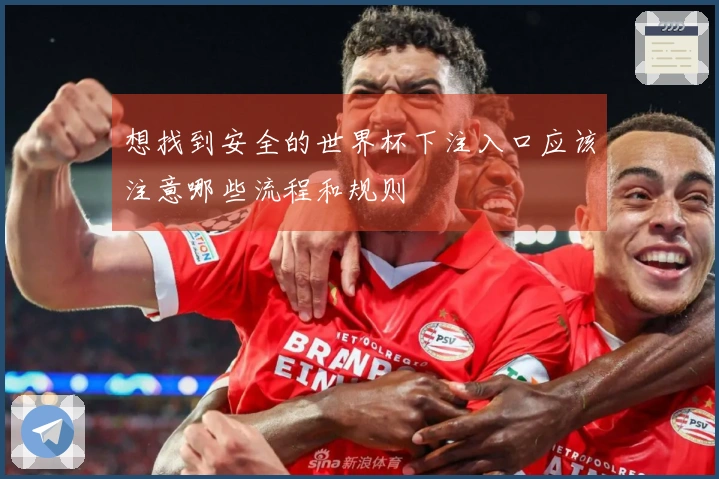 想找到安全的世界杯下注入口应该注意哪些流程和规则